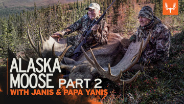Alaska Moose Part 2