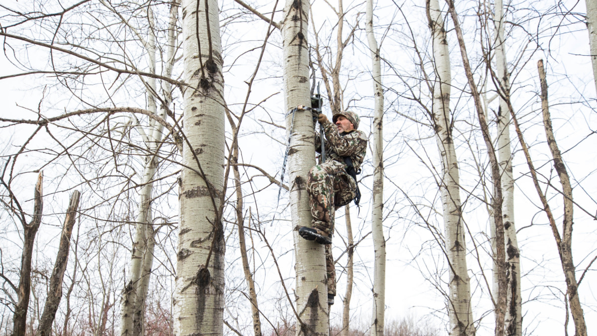 How a Treestand Fall Nearly Killed Me