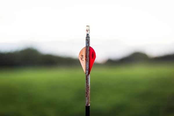 Ask Wired To Hunt: Should You Notch Your Tag on an Unrecovered Deer?