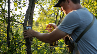 Hunter adjusts a trail camera on a tree holding a yellow spray bottle