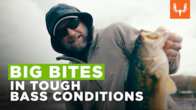 SQ_TP_LARGEMOUTH_1920x1080_1_V1.jpg