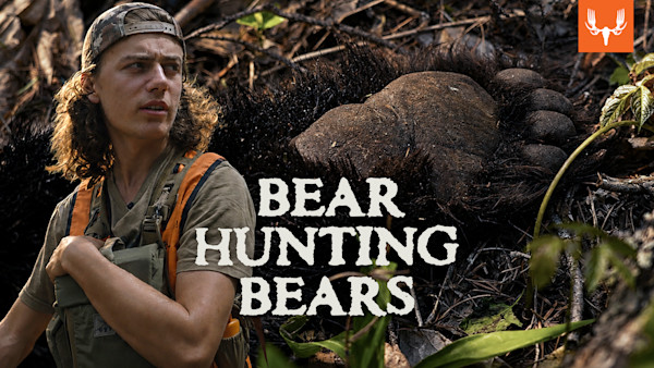 ME_MTBEAR_BearNewcomb_05.jpg