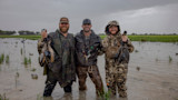 Duck Lore Breakdown: Episode 1, Texas Teal