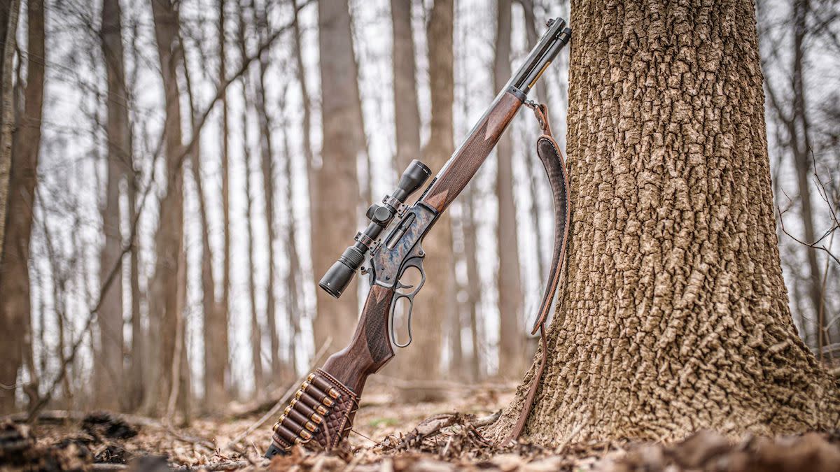 .450 Bushmaster vs. .45-70 Government