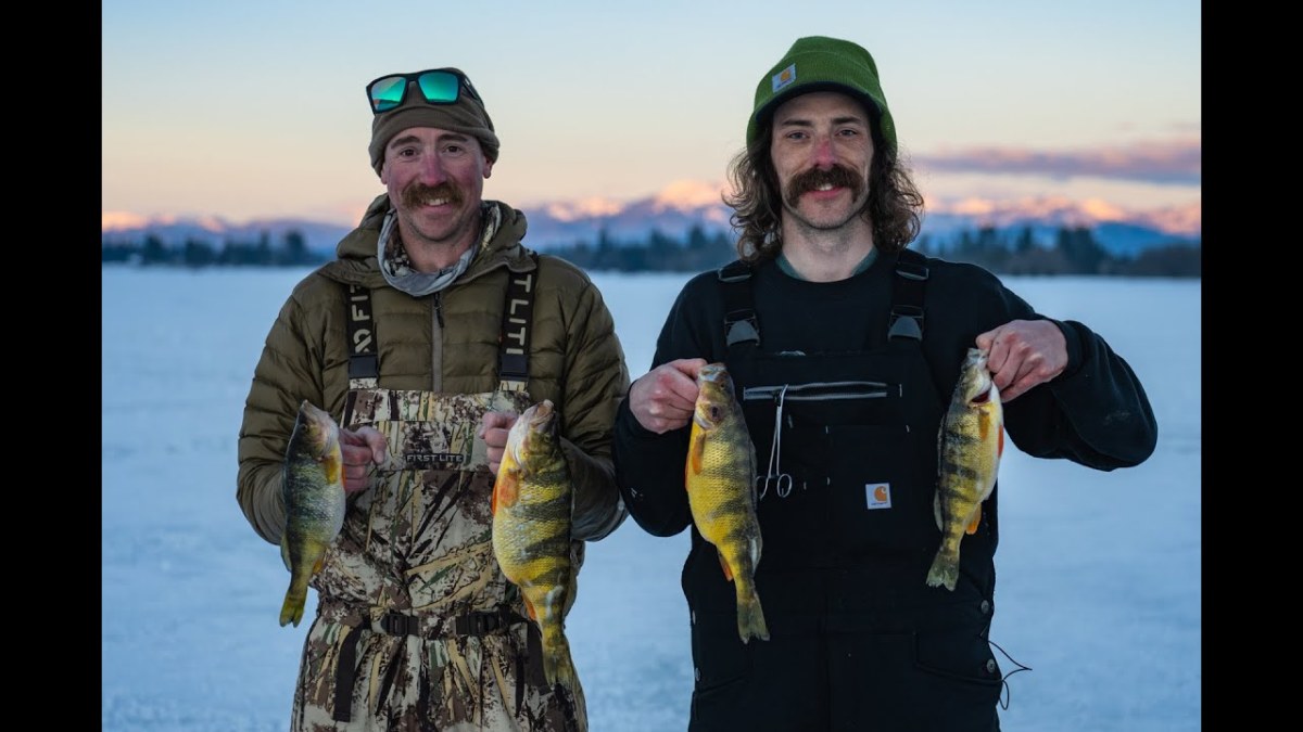 Idaho Perch with Old Time Hawkey