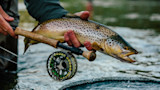 Angler holding brown trout and fly rod with reel over shallow river