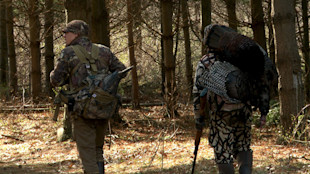 Two hunters walking in pine woods carrying camouflage gear; one carries a turkey and shotgun.