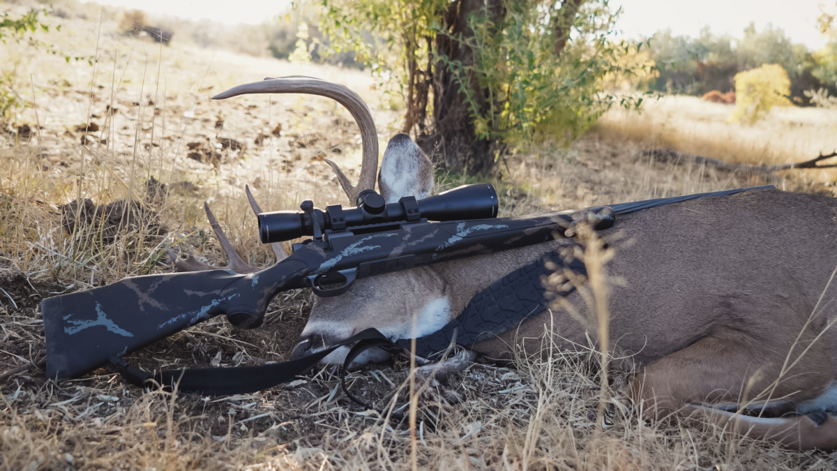 5 Best Cartridges for Western Whitetails
