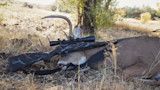 Rifle with scope resting on harvested whitetail buck in dry grass
