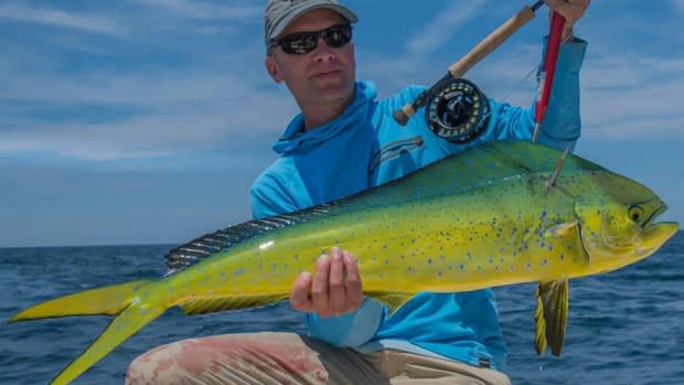 The Catch and Release Conundrum