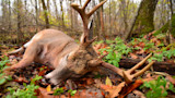 Is Our Trophy Obsession Killing Whitetail Hunting?