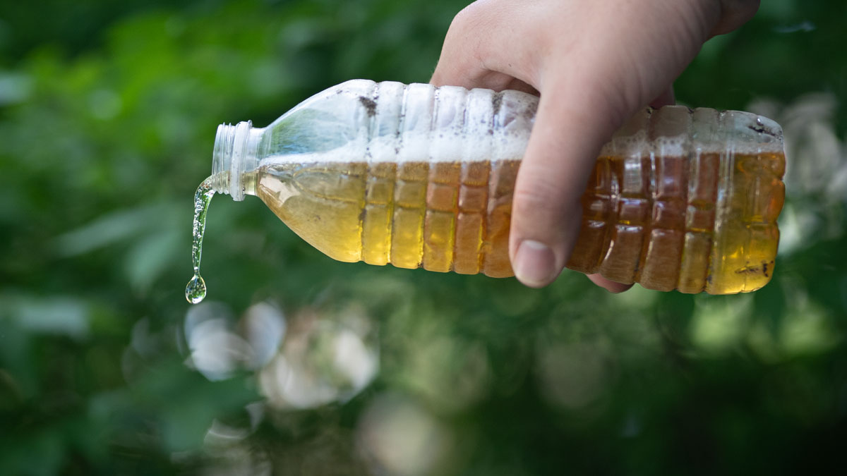 Should You Drink Urine in a Survival Situation?
