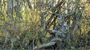 Hunter in camouflage face mask crouched in a brush blind holding a turkey box call