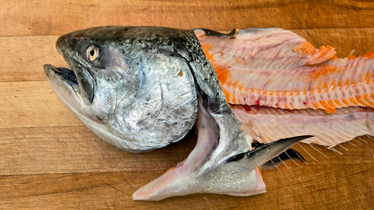 How to Harvest and Cook Fish Collars