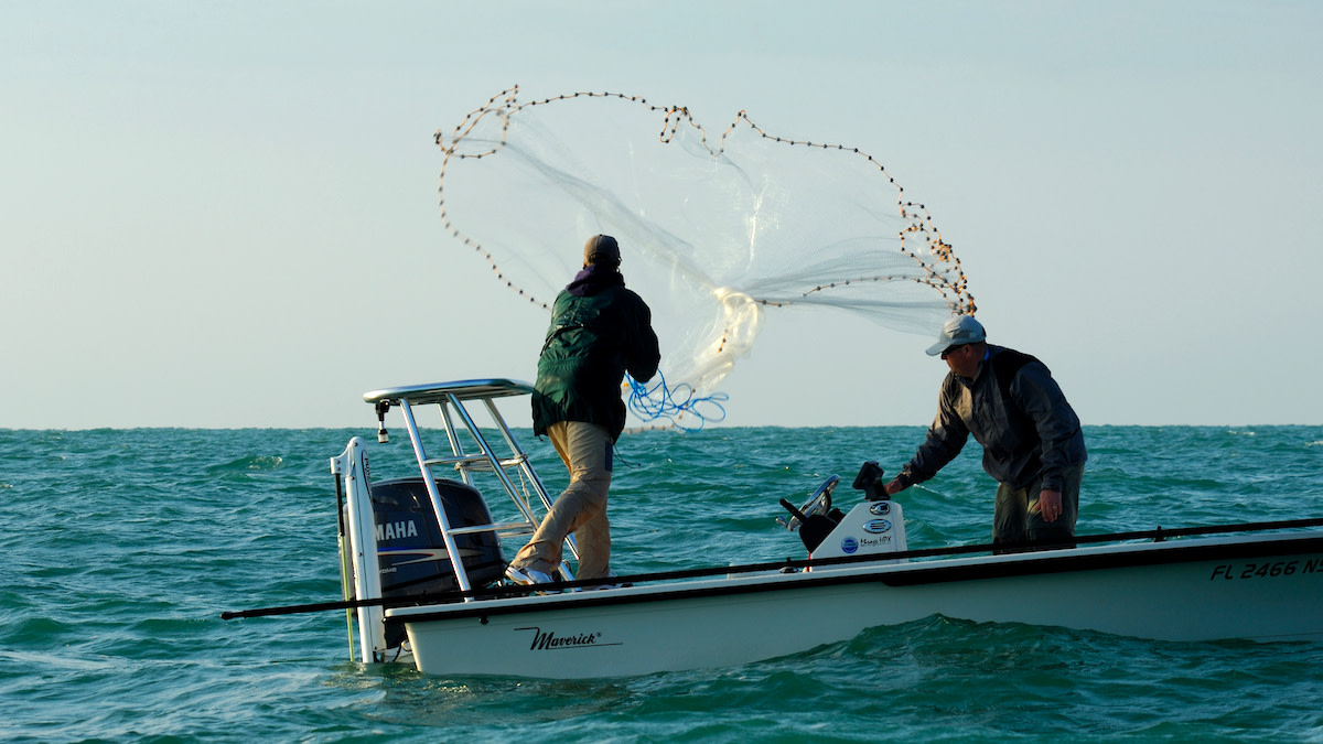 The Joys of Catching Your Own Bait