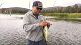 Angler holding a largemouth bass while standing in a lake