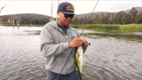 Video: How to Catch Largemouth Bass in Fall
