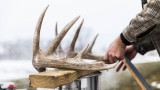 Ask MeatEater: How Do You Make a Skull Mount?