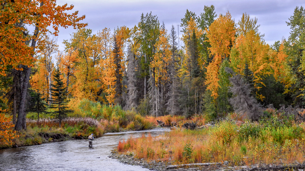 How to Catch Trout in Fall