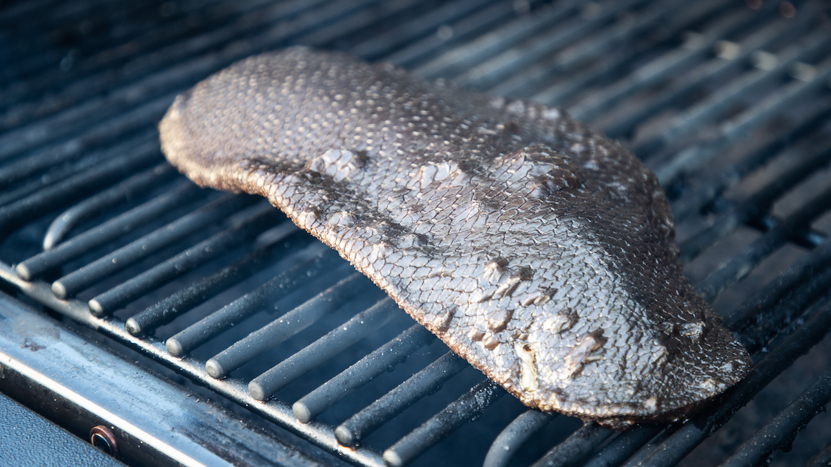 grilled beaver tail