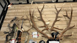 Large antlers, rifle, compound bow, arrows, and hunting gear arranged on a wooden trailer bed