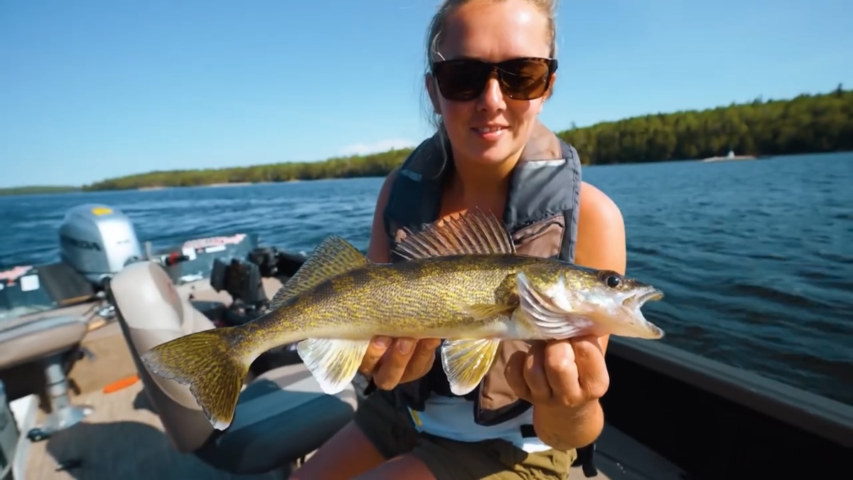 walleye