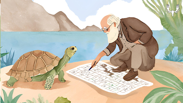 Elderly bearded man kneeling solves crossword with tortoise on lakeside sand, MeatEater logo