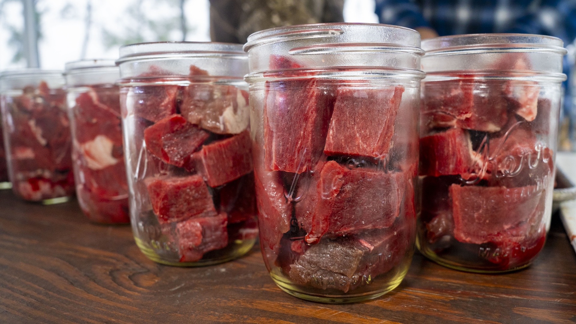 canned venison