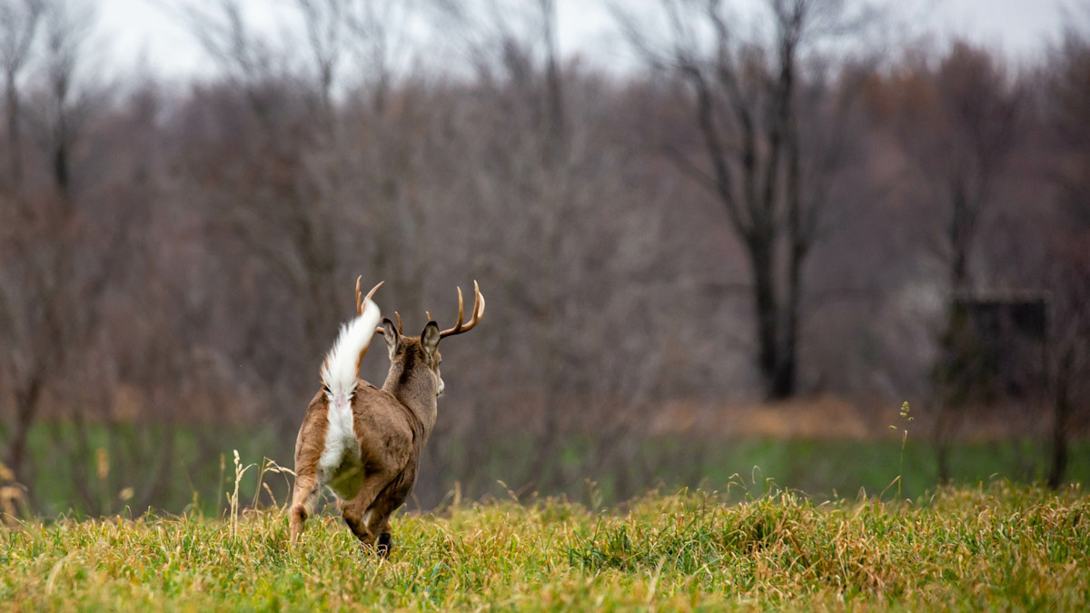 Following Tracks: How First Hunts with Family Never Fade