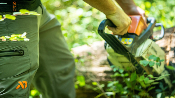 Unlikely Conservation Group Improving One Million Public Acres for Deer Hunters