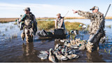 Three hunters wade in marsh with boat, decoys, and harvested ducks and geese.