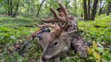 5 Hot Tips for an Early September Deer Opener