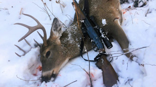 Buck with rifle across its body in snow, antlers and bloodstains visible