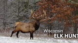 Bull elk standing in snowy woods, overlaid text "Wisconsin ELK HUNT"