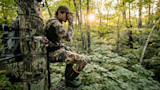 How to Scout for Overlooked Whitetail Hotspots on Public Land