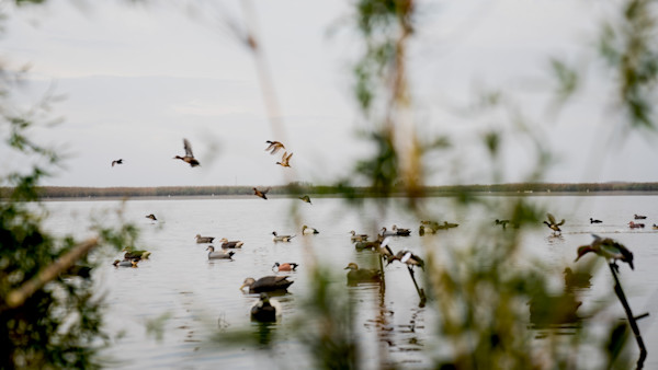 220103_SRME_SEASON_11_LA_WATERFOWL-20.jpg