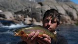Rainbow trout held by angler over rocky river rapids