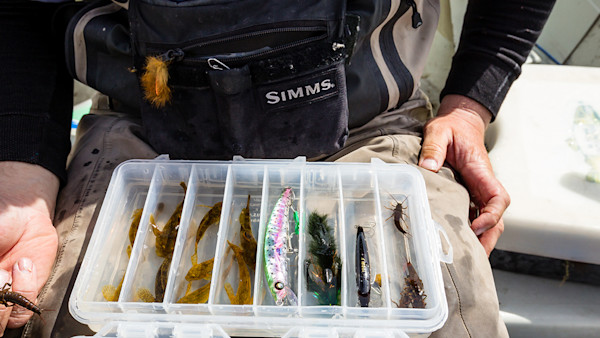 How Fly Fishing Made Me a Worse Fisherman