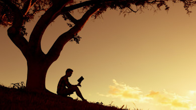 Silhouette of man reading a book under a large tree at sunset
