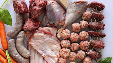 Assorted raw game cuts, sausages, meatballs and skewered venison with carrots and basil
