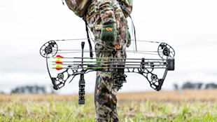 Compound bow held horizontally with several arrows by hunter in camouflage in a grassy field