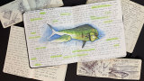 Drawing Fire: Mike Sudal’s Next-Level Fishing Journals