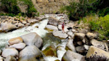 Angler casting from a boulder with a black dog in a rocky whitewater river canyon