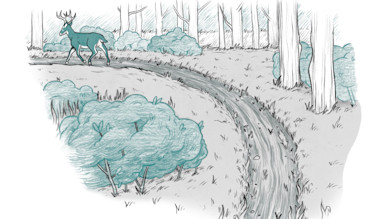 Deer walking beside a curved stream in a forest with teal bushes, illustration