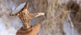 Gloved hand holding a shed antler above snowy dry grass