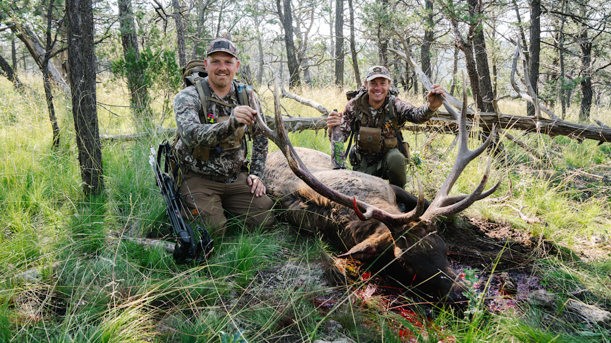 Two hunters kneel beside a dead bull elk in woods holding its antlers, blood visible.