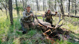 Two hunters kneel beside a dead bull elk in woods holding its antlers, blood visible.