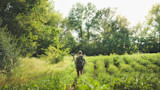 Man in camouflage walking away through green field toward treeline, carrying a compound bow and backpack