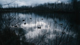 3 Never-Fail Duck Decoy Setups for Small Water