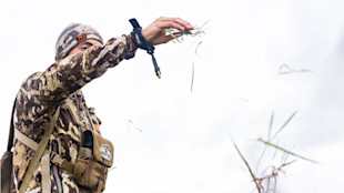 Hunter tossing grass into the air, wearing a camouflage jacket and First Lite beanie